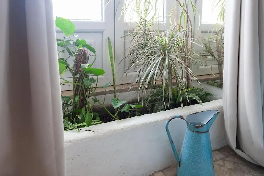 Apartment A Boemia Green Street Studio Lisbon Portugal