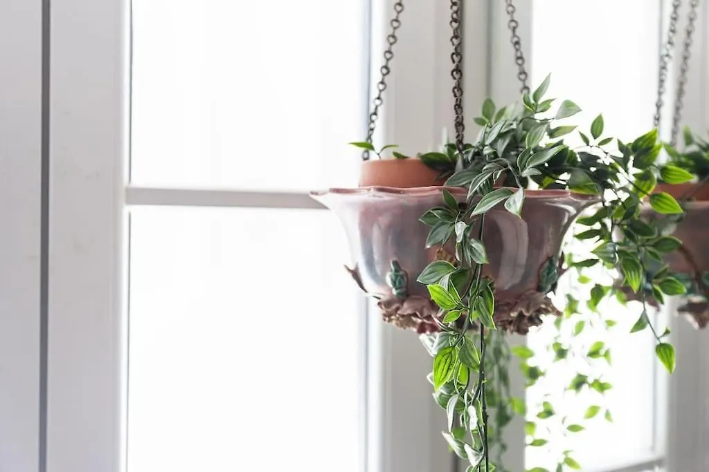 A Boemia Green Street Studio Lisbon Apartment